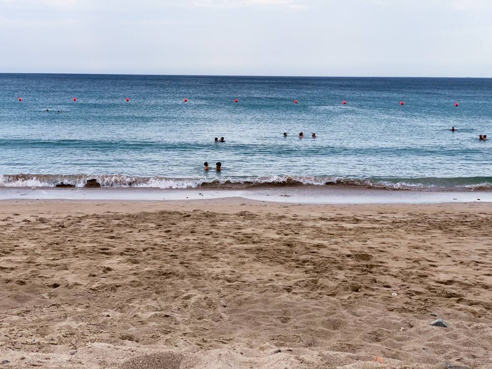 people on beach during daytime