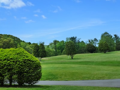 masters golf tournament zoom background