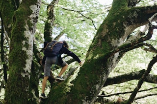 man in blue t-shirt climbing on brown tree during daytime