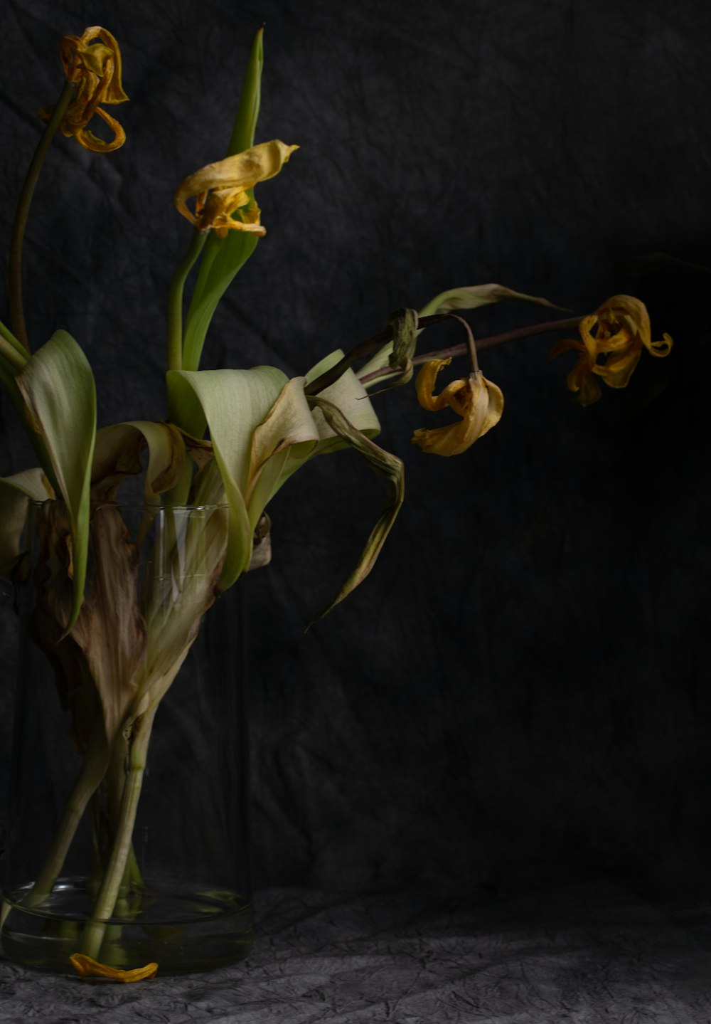 yellow and white flower on black textile