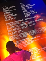 A person in a pink shirt is standing in front of a large illuminated poster featuring a list of performers and events, possibly for a music festival or concert series. The background has a combination of orange and blue lighting. The text includes names of artists such as Blood Orange, Nas, and others, along with sponsors like Adidas and Puma.