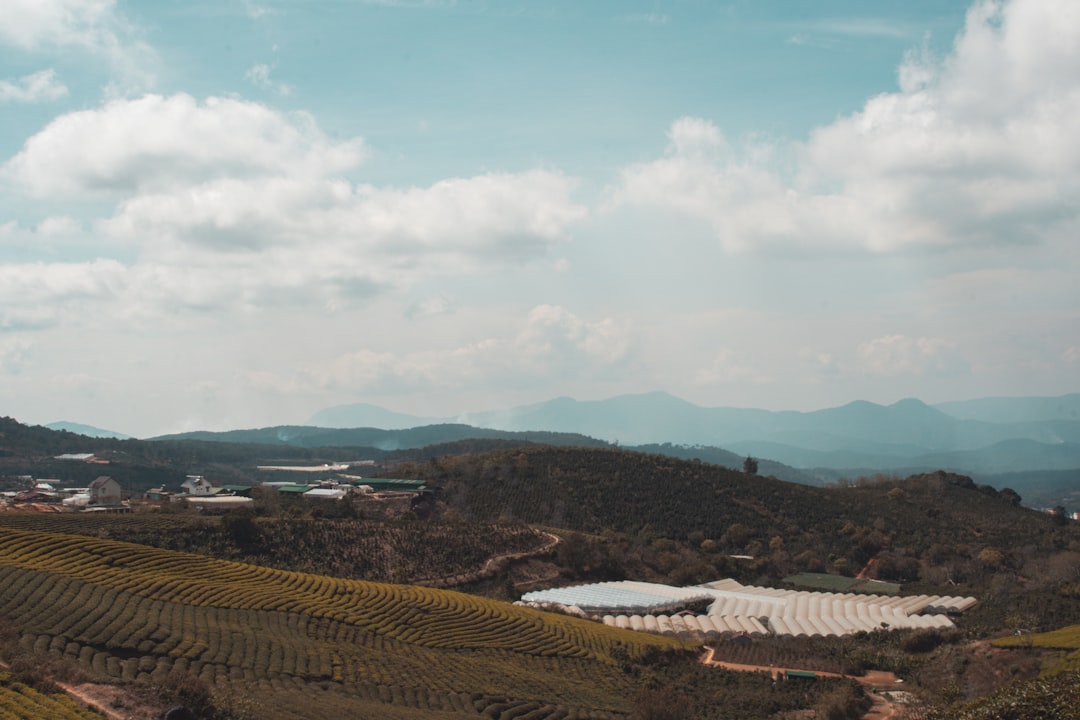 Hill station photo spot Đồi chè Cầu Đất Farm Lâm Đồng