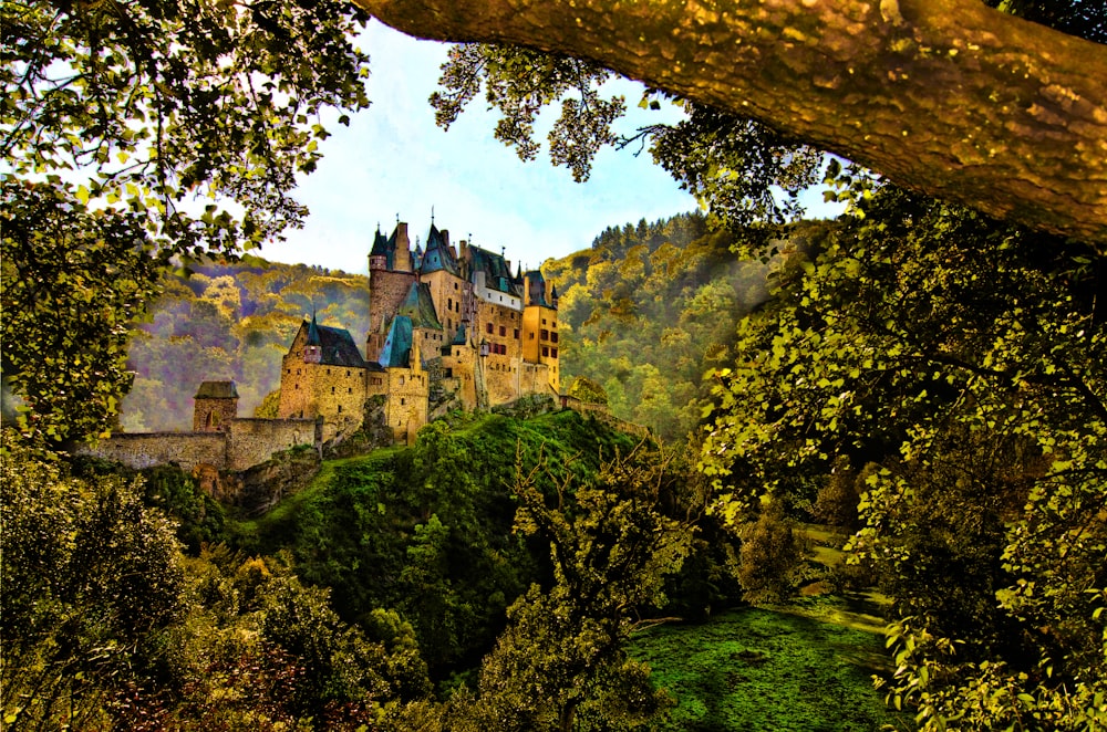 brown concrete castle on hill