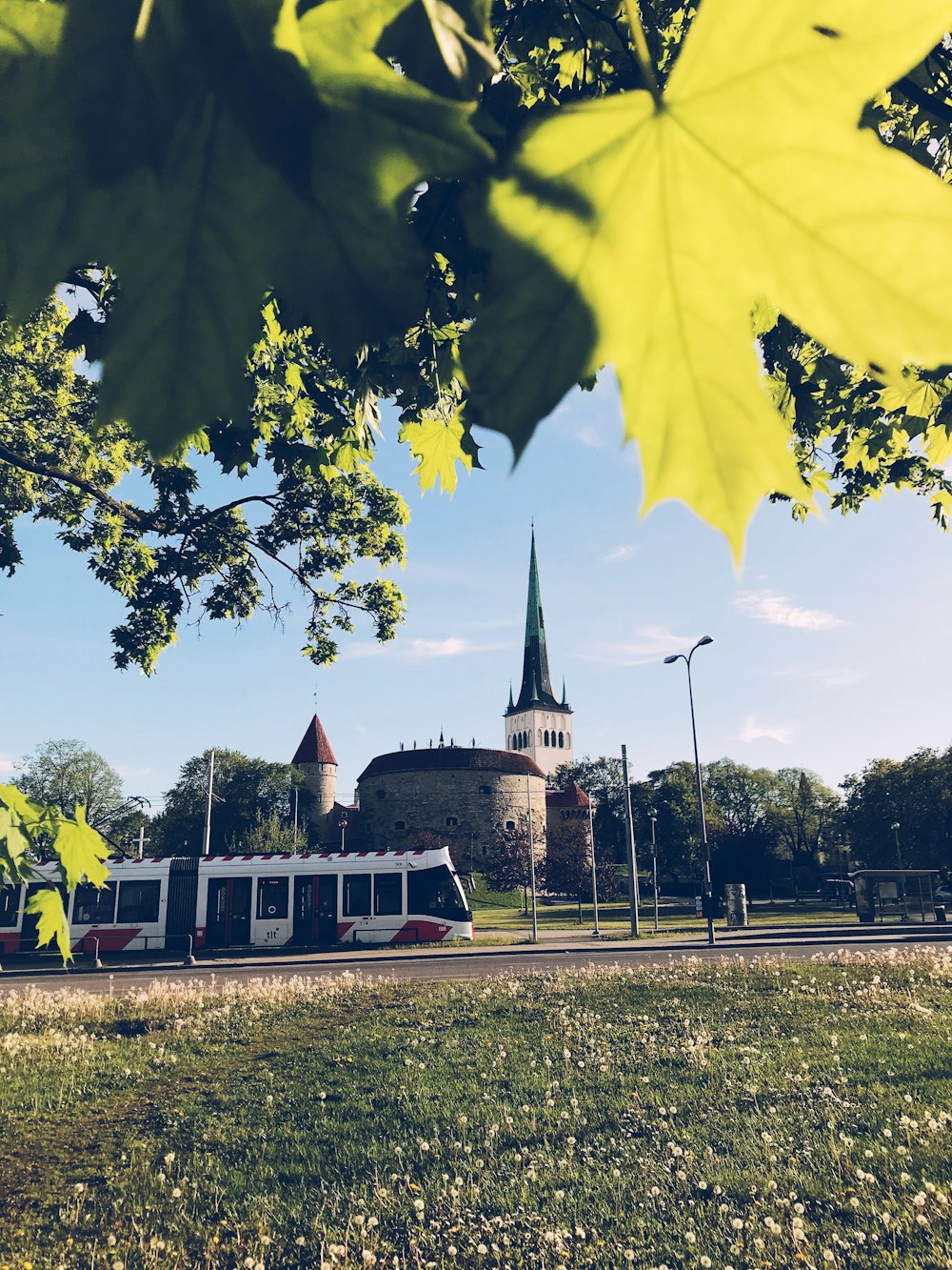 green trees near white and brown building during daytime