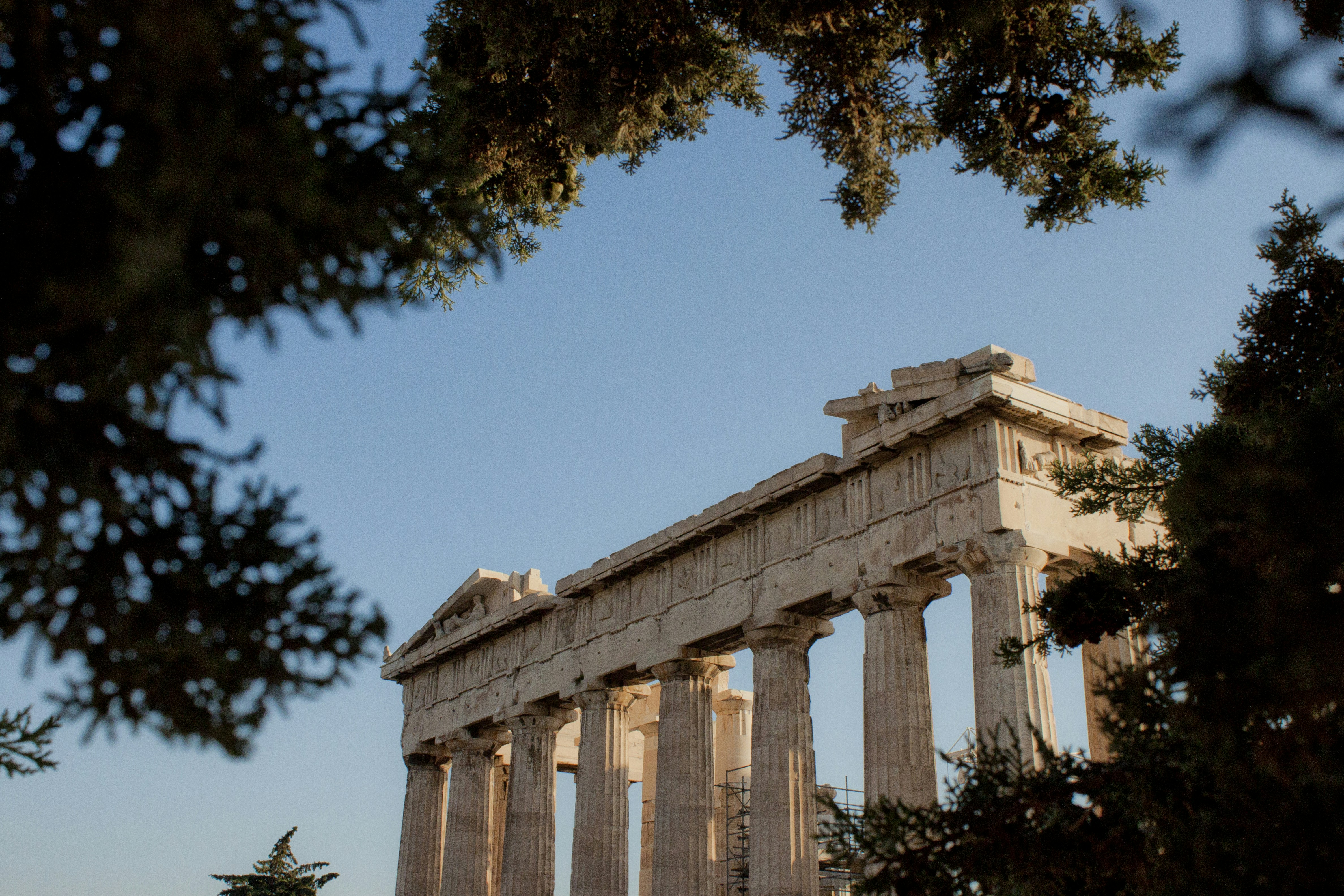 trip gallery picture