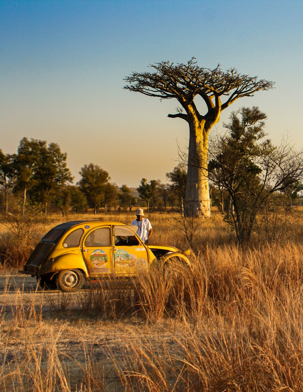 yellow and white volkswagen beetle on brown grass field during daytime