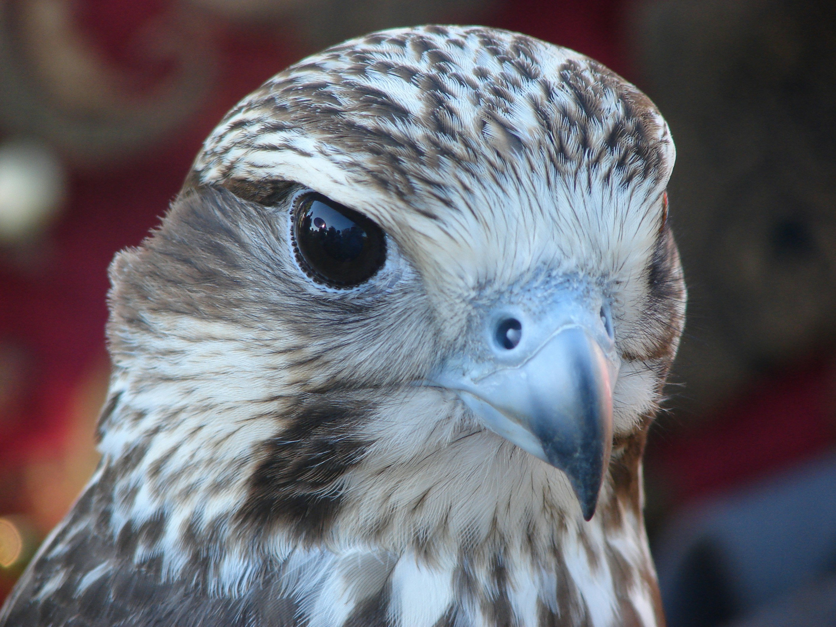 Photo by daveatjude3