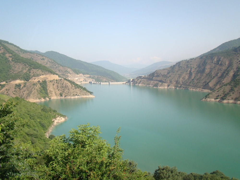 Árboles verdes cerca del lago bajo el cielo azul durante el día