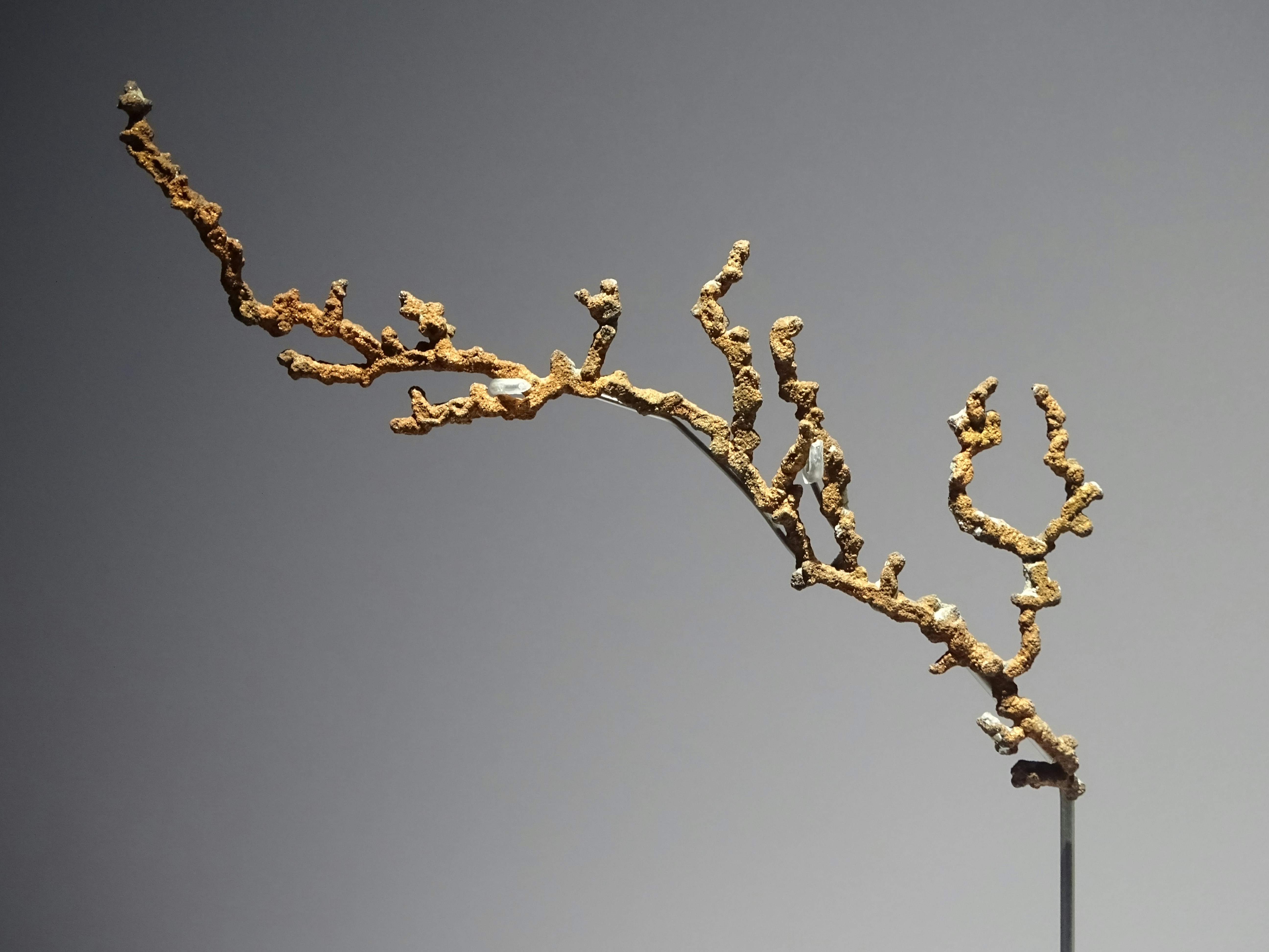 Photo by oceanehardy