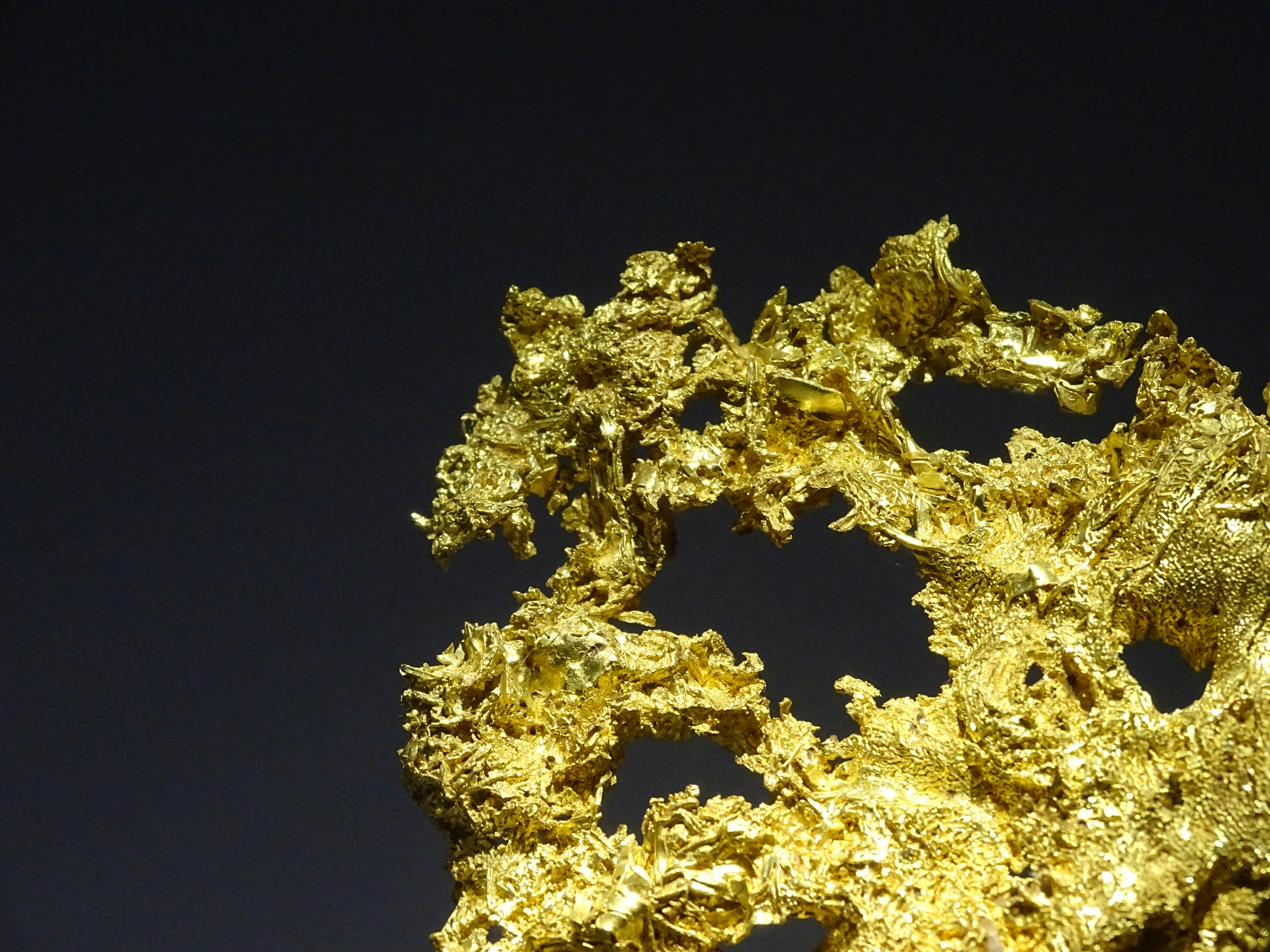 Detector Minelab GPZ