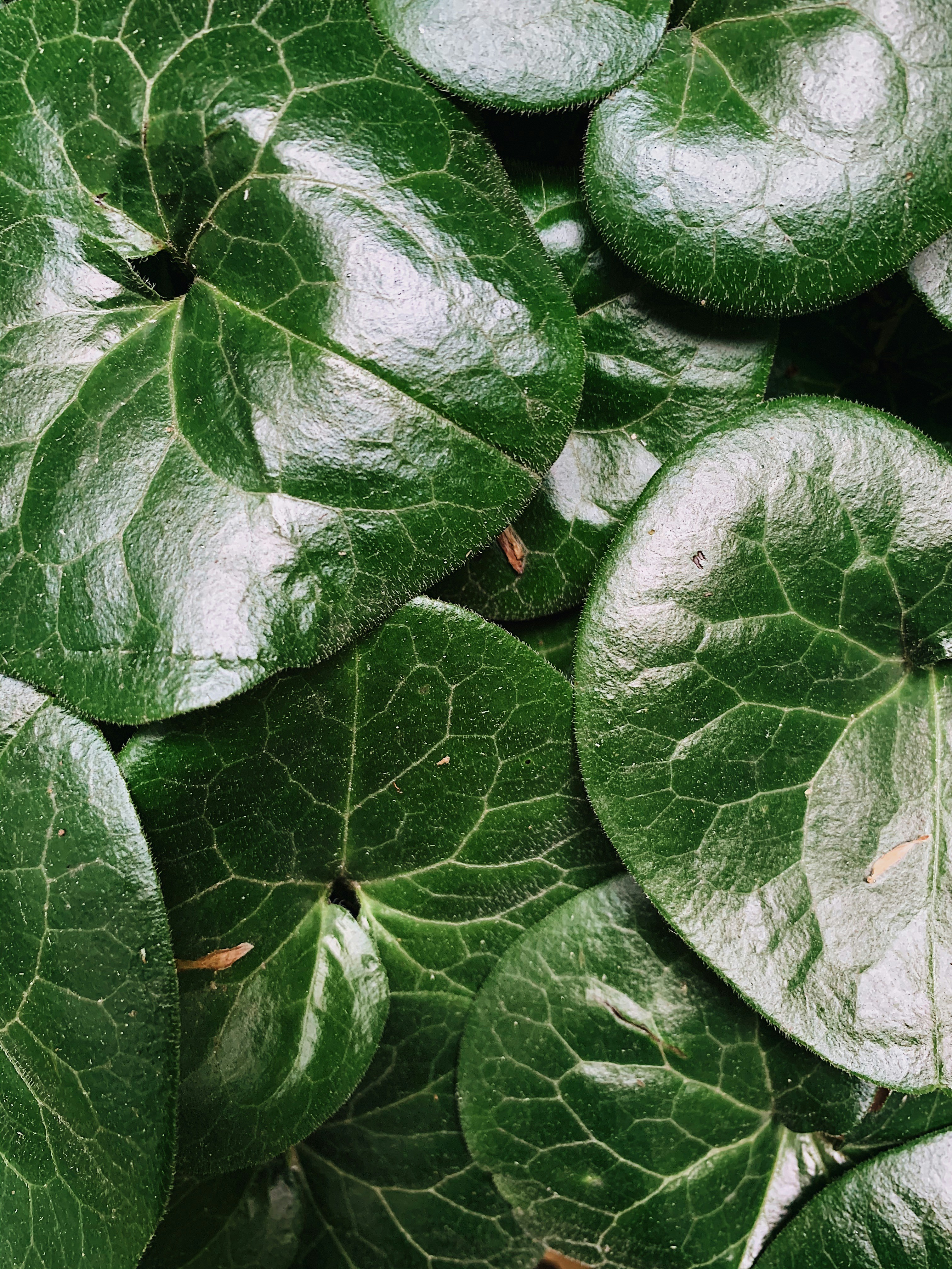 Photo by leviscarroll