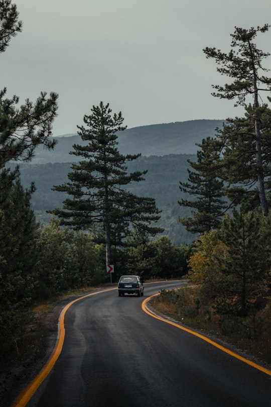 black car on road near green trees during daytime in Azdavay Turkey