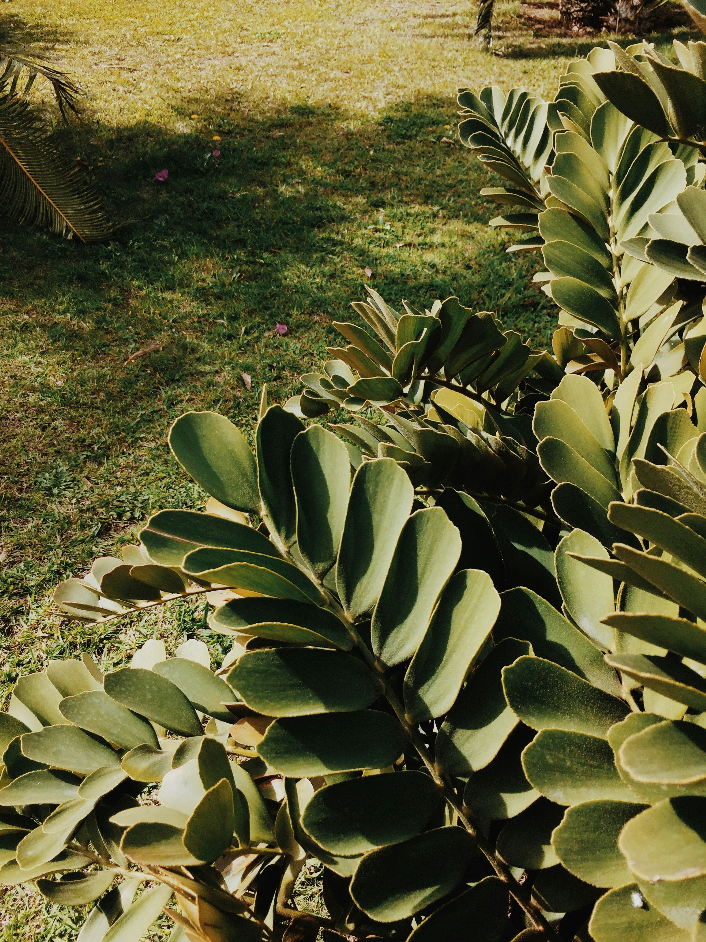 Photo by weronikajanas