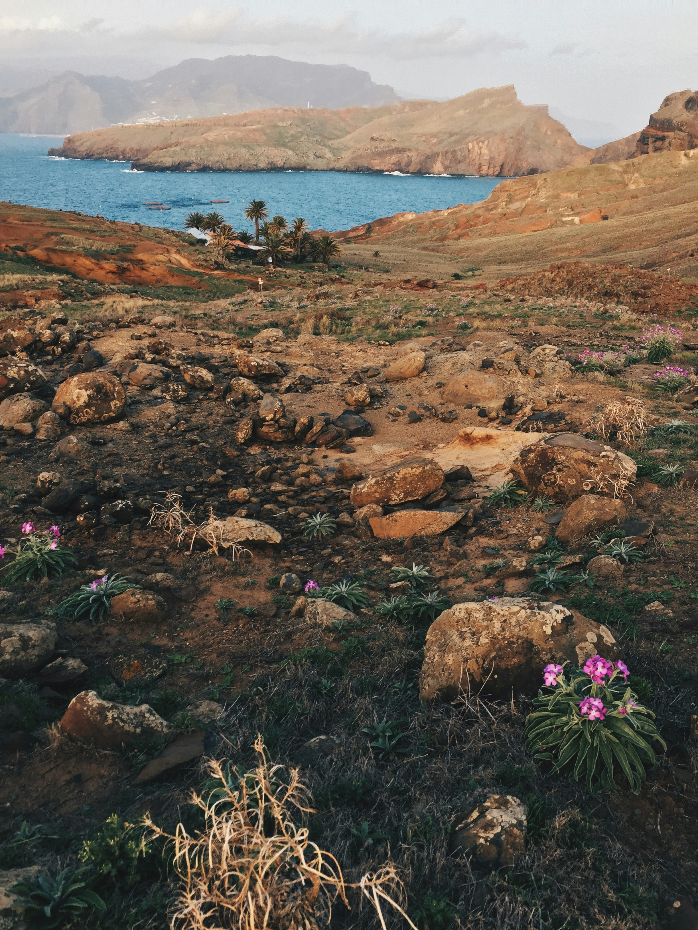 Photo by weronikajanas