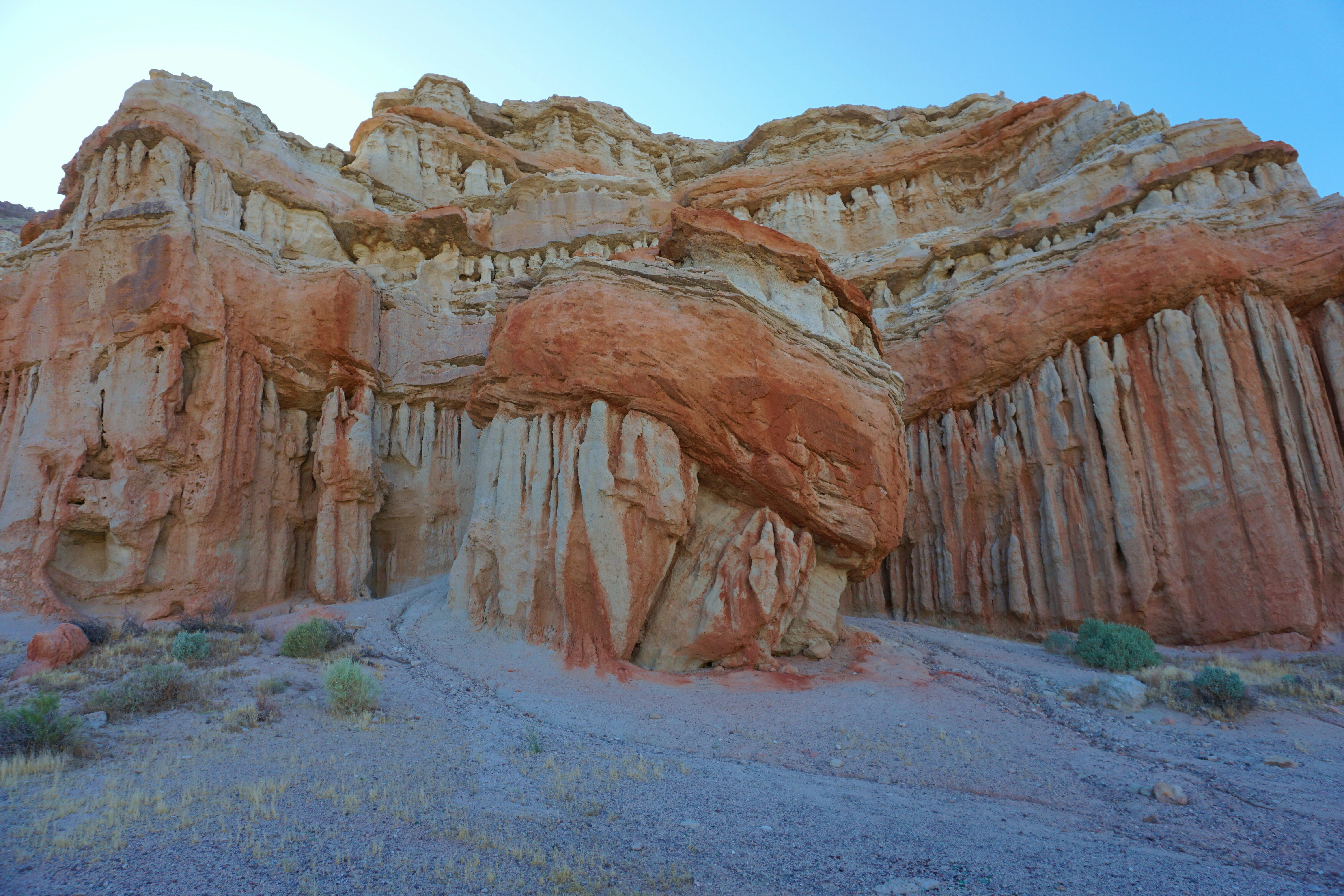 Photo by caitlinrose