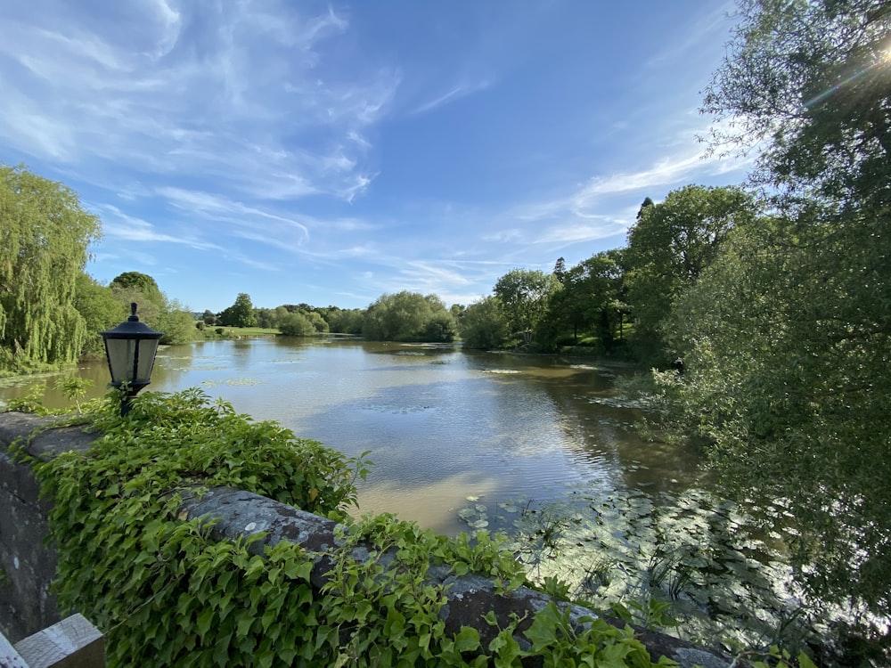 green trees beside river under blue sky during daytime