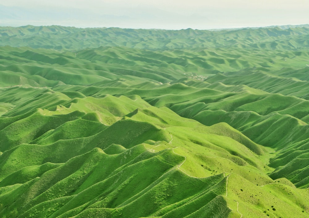 Campo de hierba verde bajo el cielo blanco durante el día