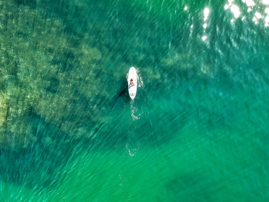 person in white shirt swimming in green water in Ladram Bay United Kingdom