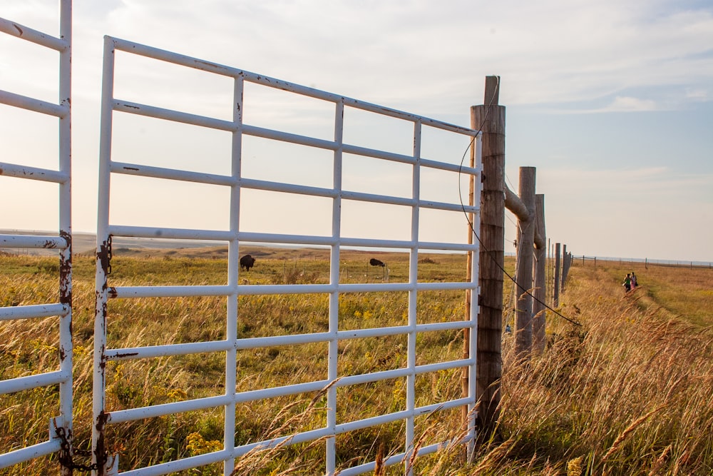 brown wooden fence on brown grass field during daytime