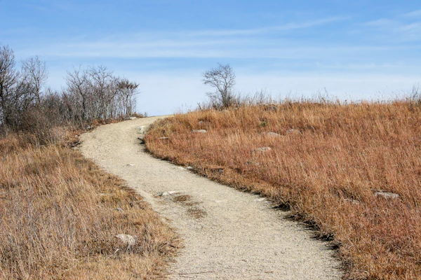 Kansas prairie under a big sky