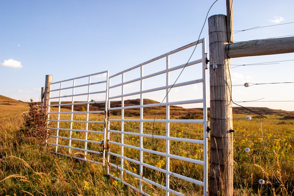 white metal fence on brown grass field under blue sky during daytime