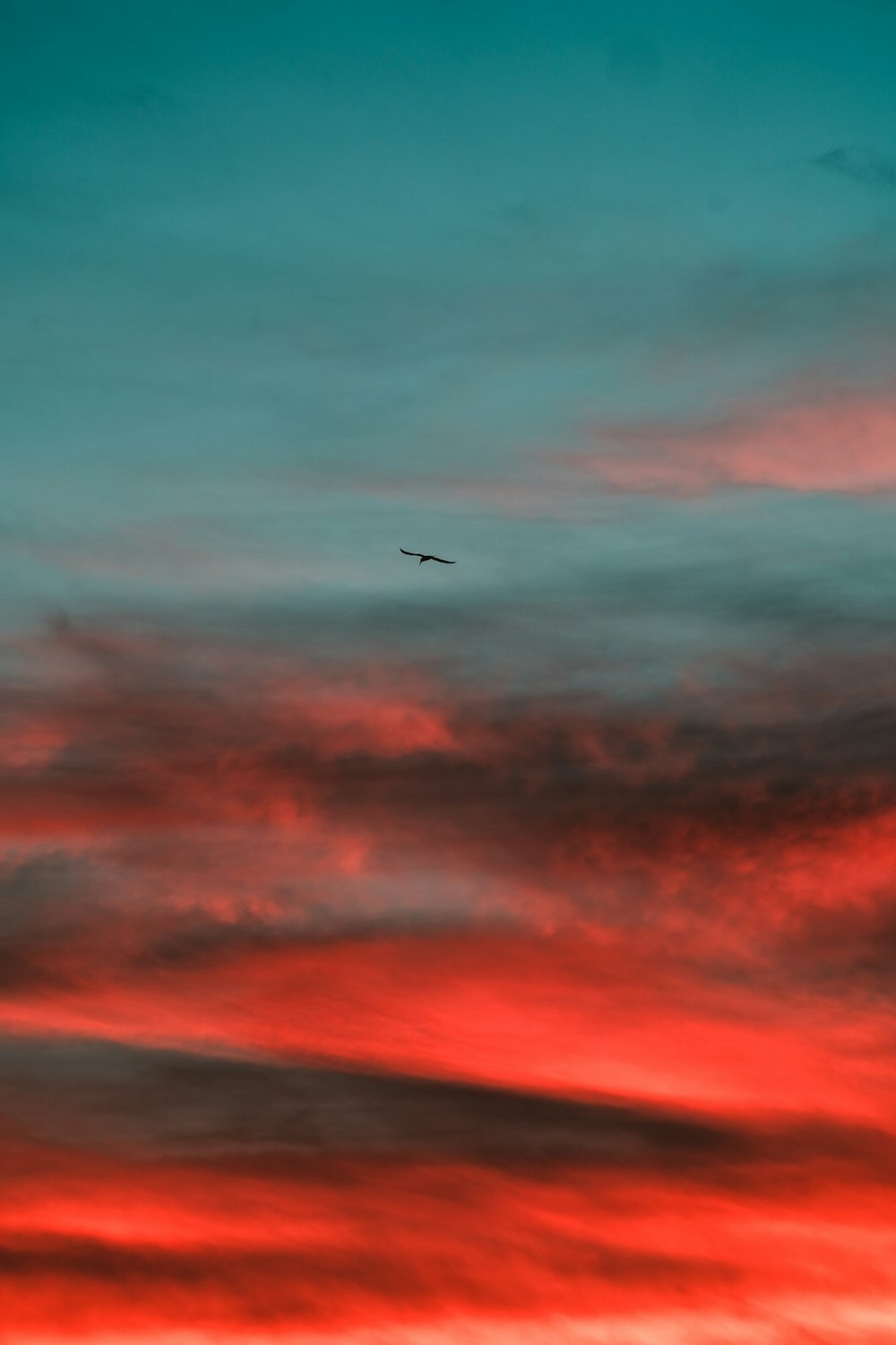 Flugzeug fliegt während des Sonnenuntergangs am Himmel
