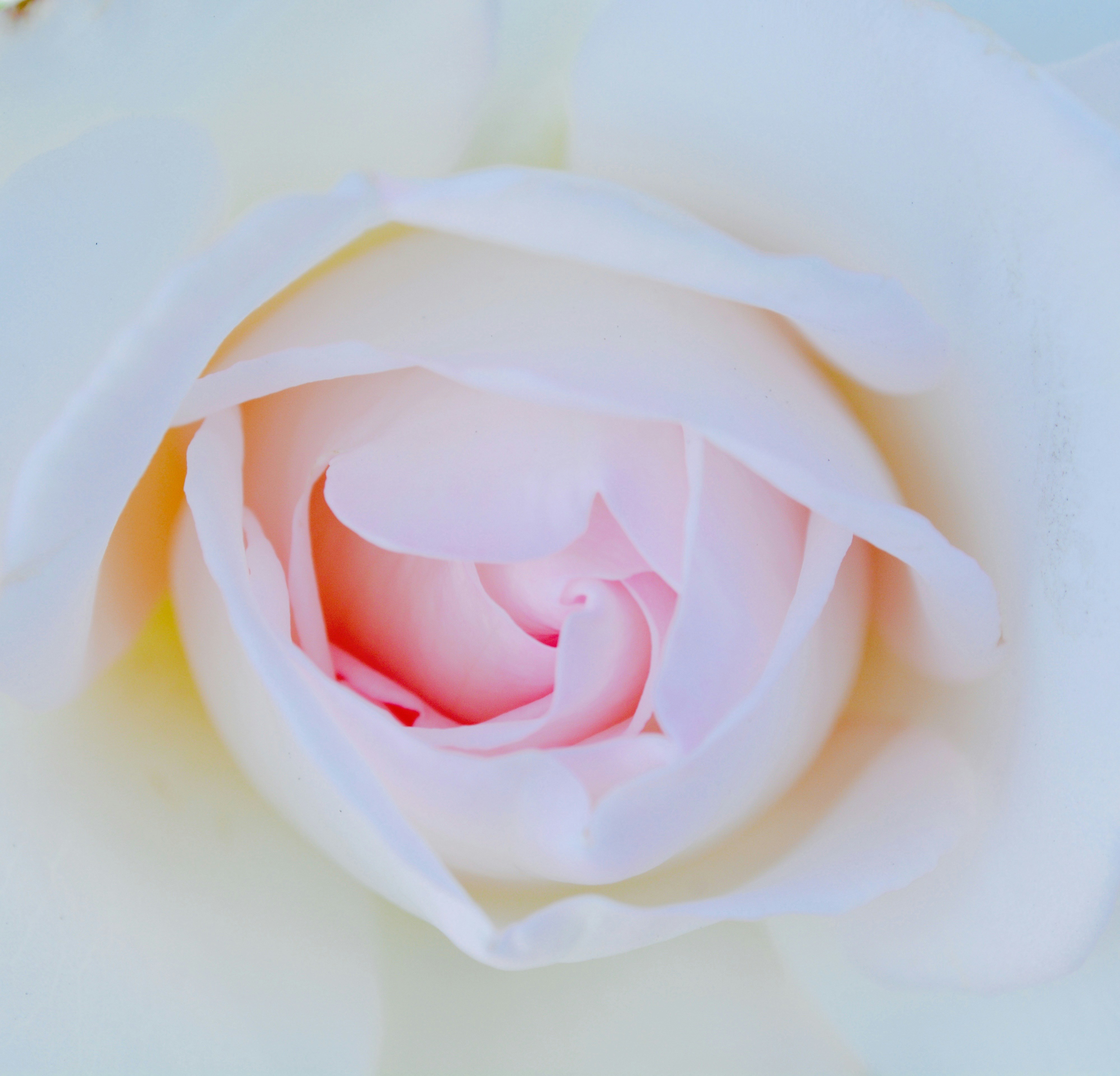 Photo by elizabethlove