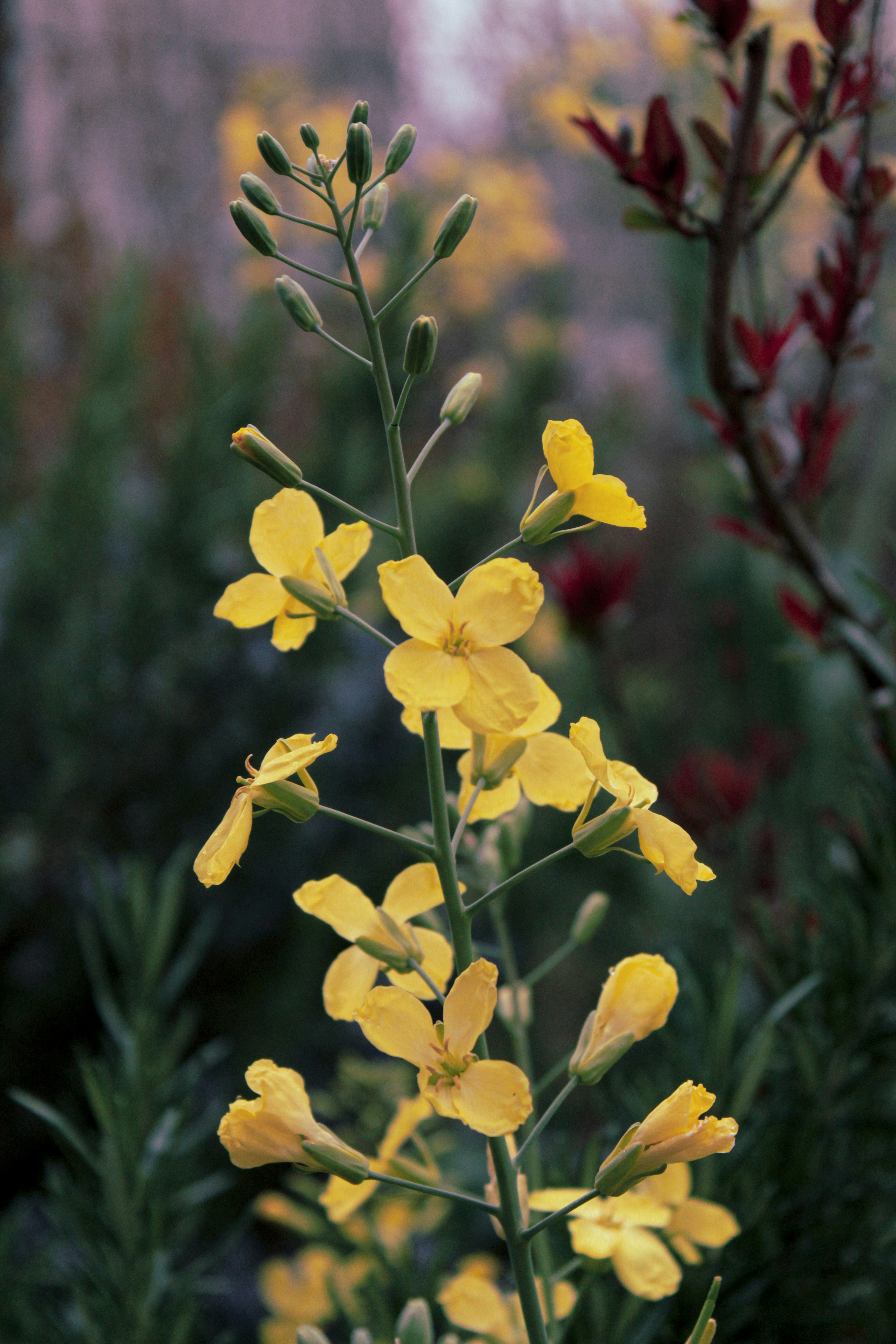 Photo by lensensational