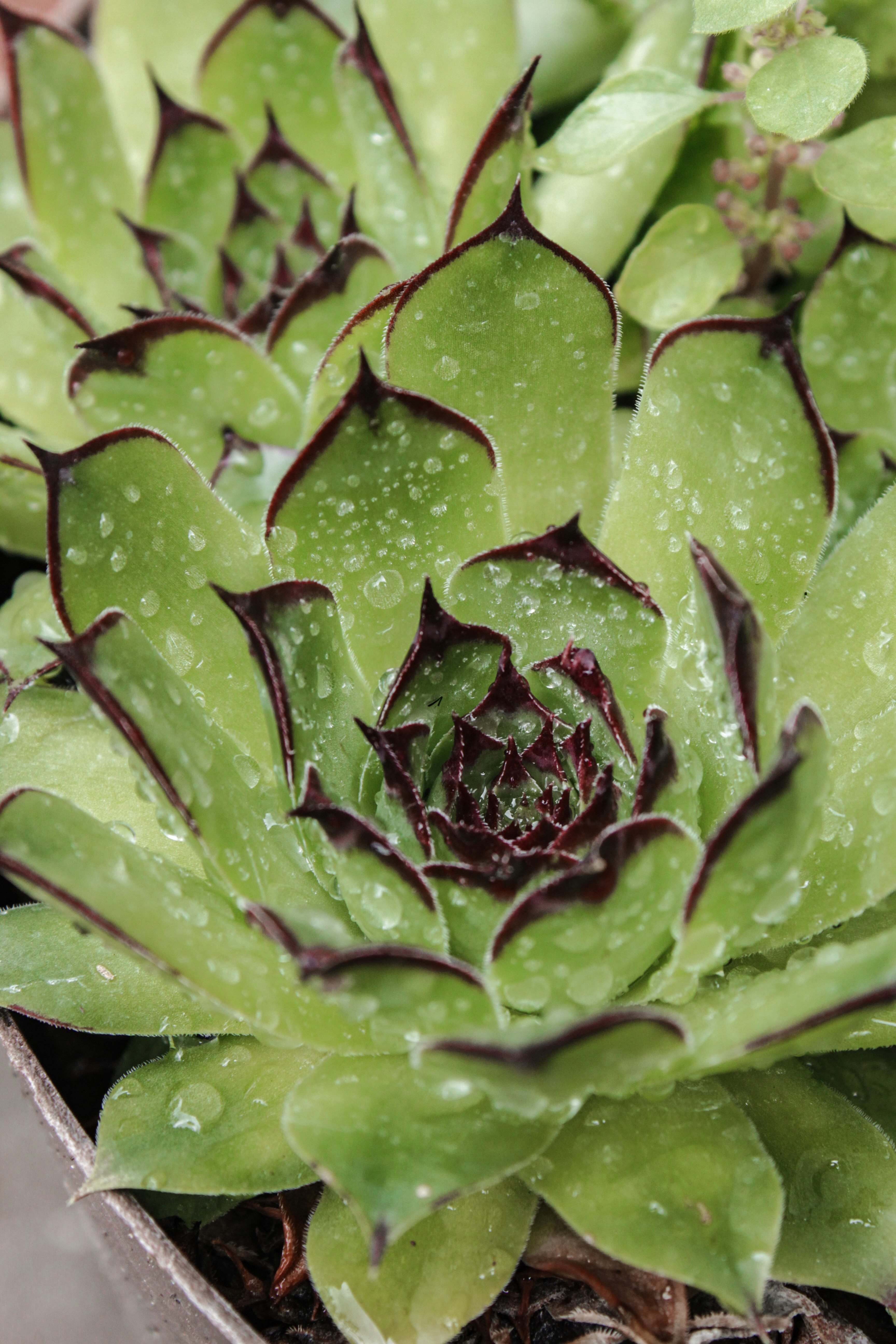 Photo by lensensational