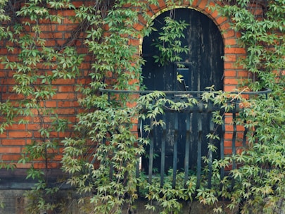 black wooden door with green plants