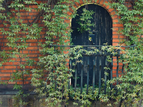 black wooden door with green plants