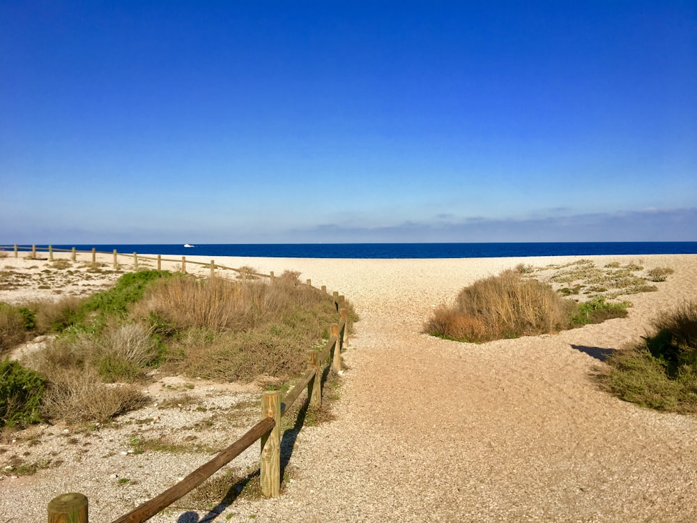 staccionata di legno marrone su sabbia marrone vicino al mare blu sotto il cielo blu durante il giorno