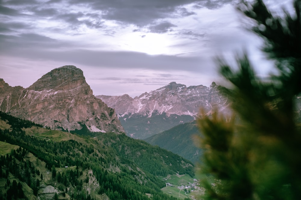 green trees on mountain under cloudy sky during daytime