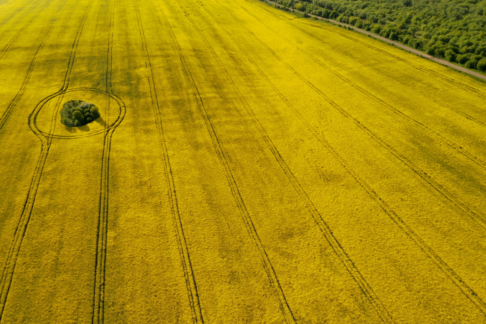 green grass field during daytime