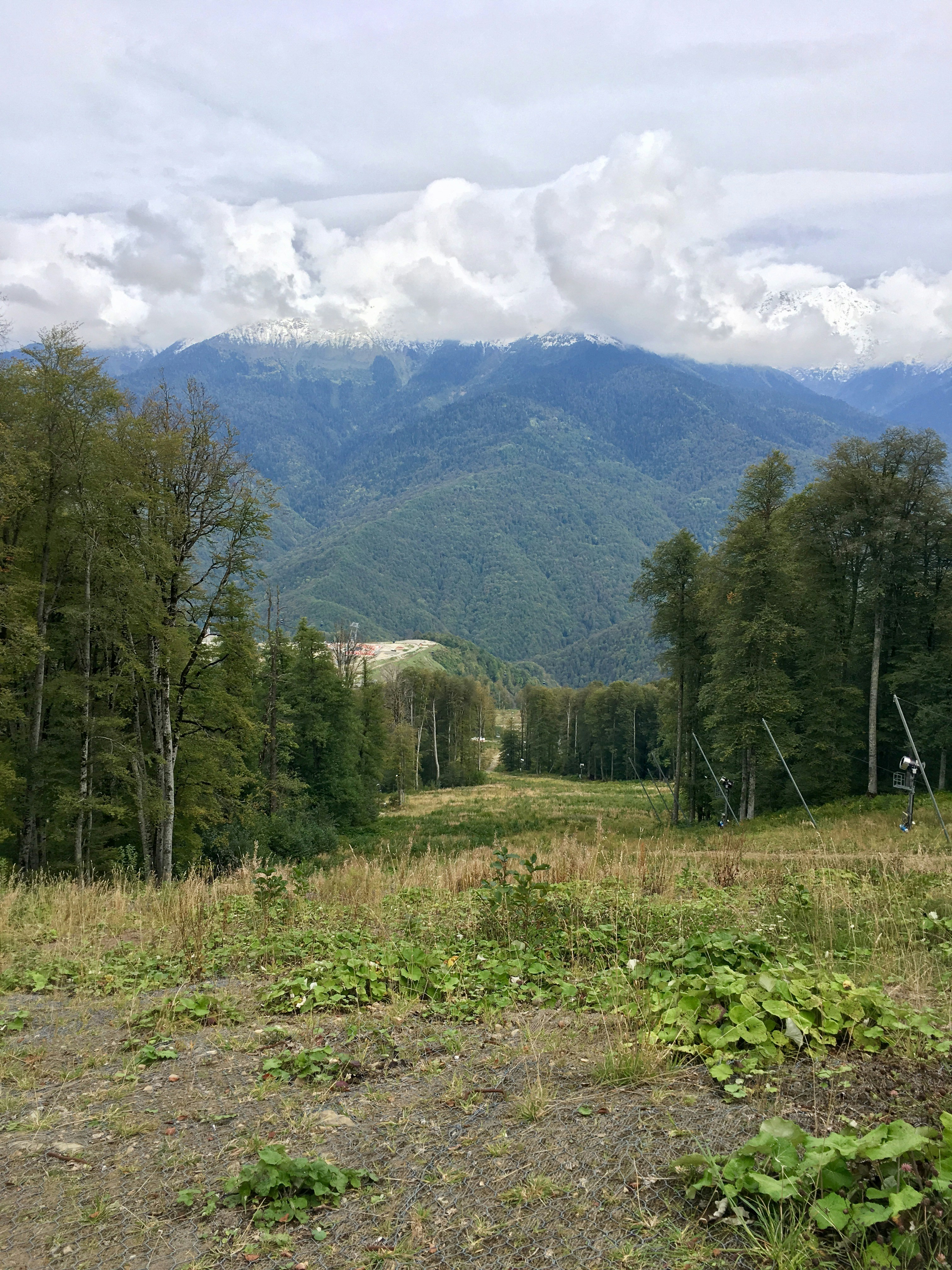 green trees on green grass field near mountain under white clouds and blue sky during daytime