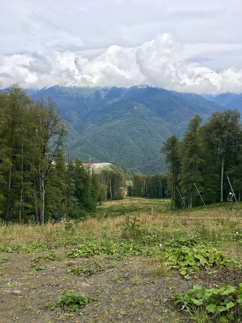 green trees on green grass field near mountain under white clouds and blue sky during daytime