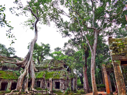 brown wooden house near green trees during daytime in Ta Prohm Cambodia