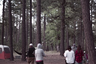 A group of campers pulling handcarts through a forest trail surrounded by tall pine trees under a bright summer sky.