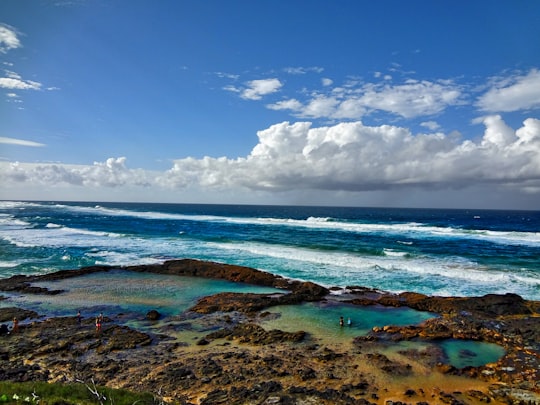 green grass on brown rock formation near sea under blue and white cloudy sky during daytime in Fraser Island Australia