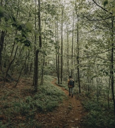 person in red jacket walking on forest during daytime