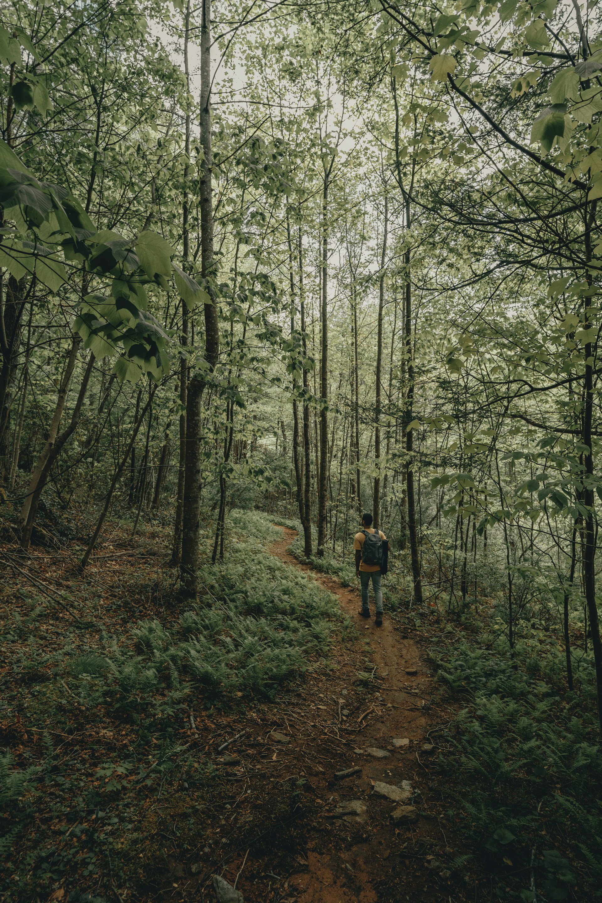 person in red jacket walking on forest during daytime