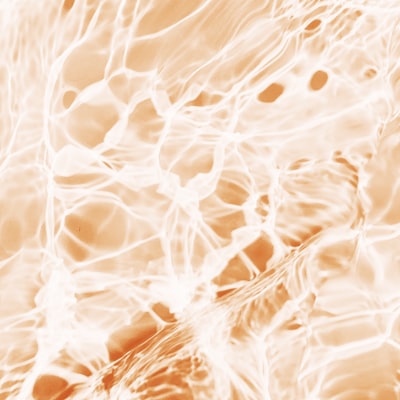Warm-toned cellular structures representing cellular energy production