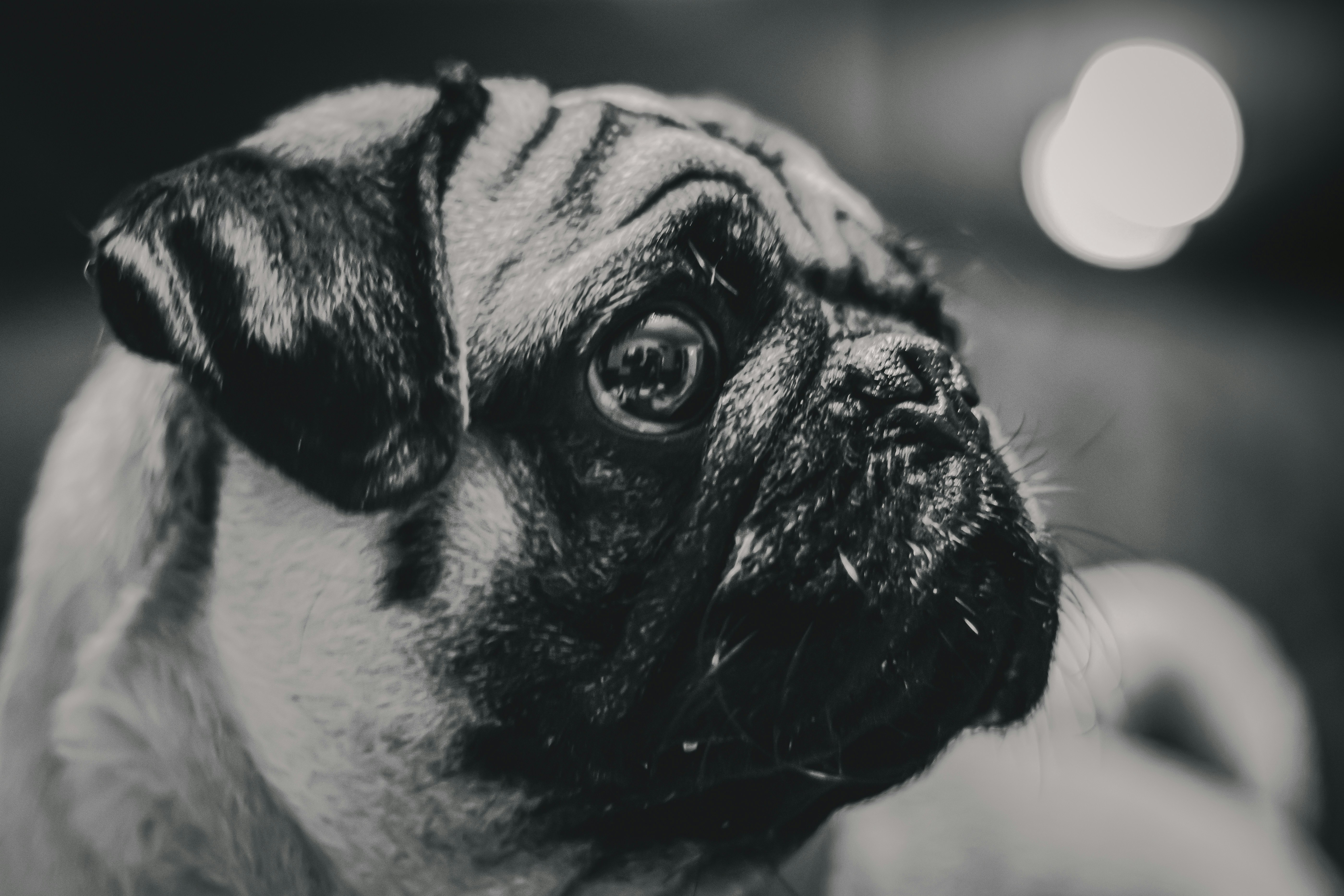 Photo by _staticvoid