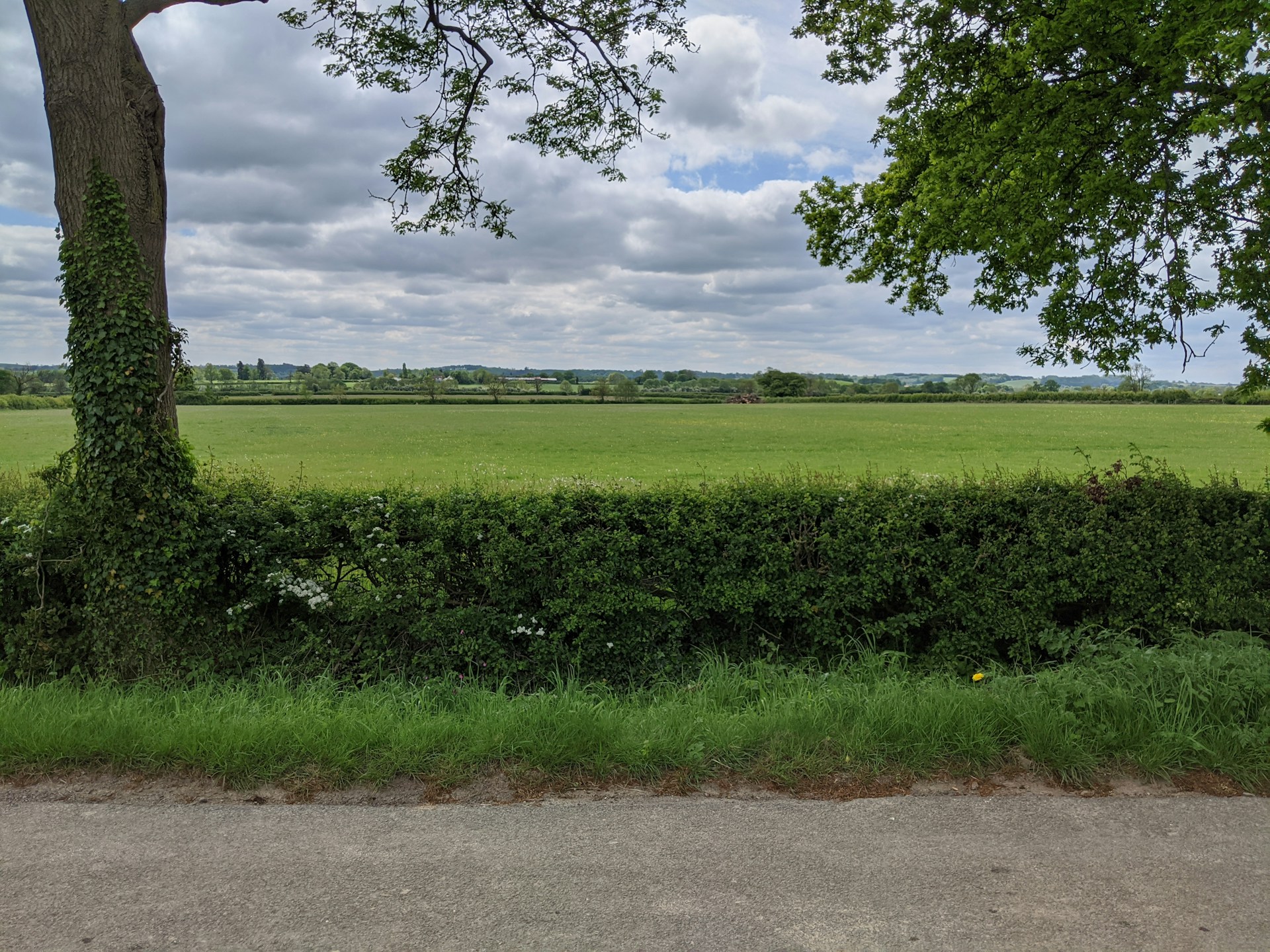 green grass field under cloudy sky during daytime