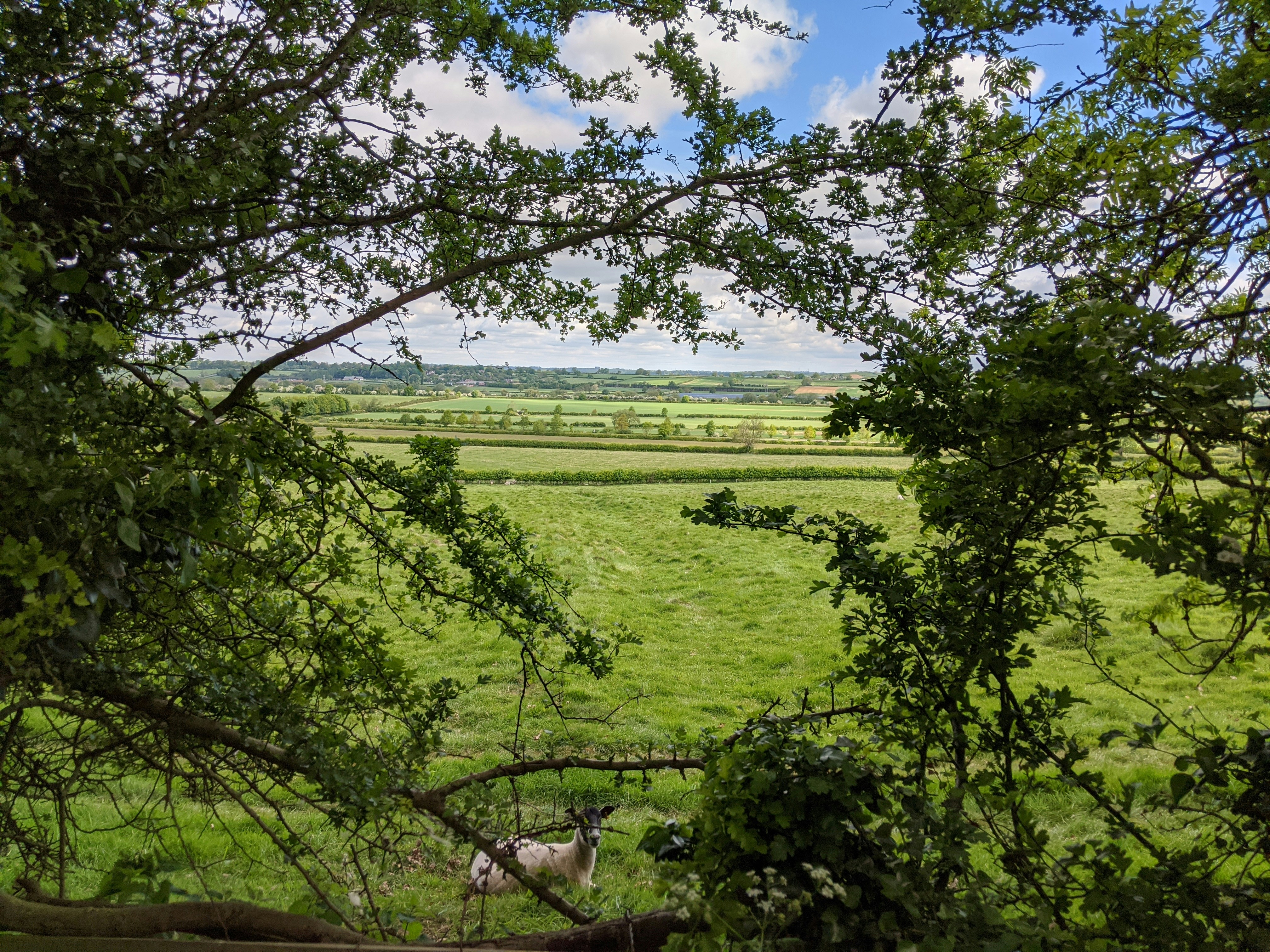 Photo by sisoplaynice