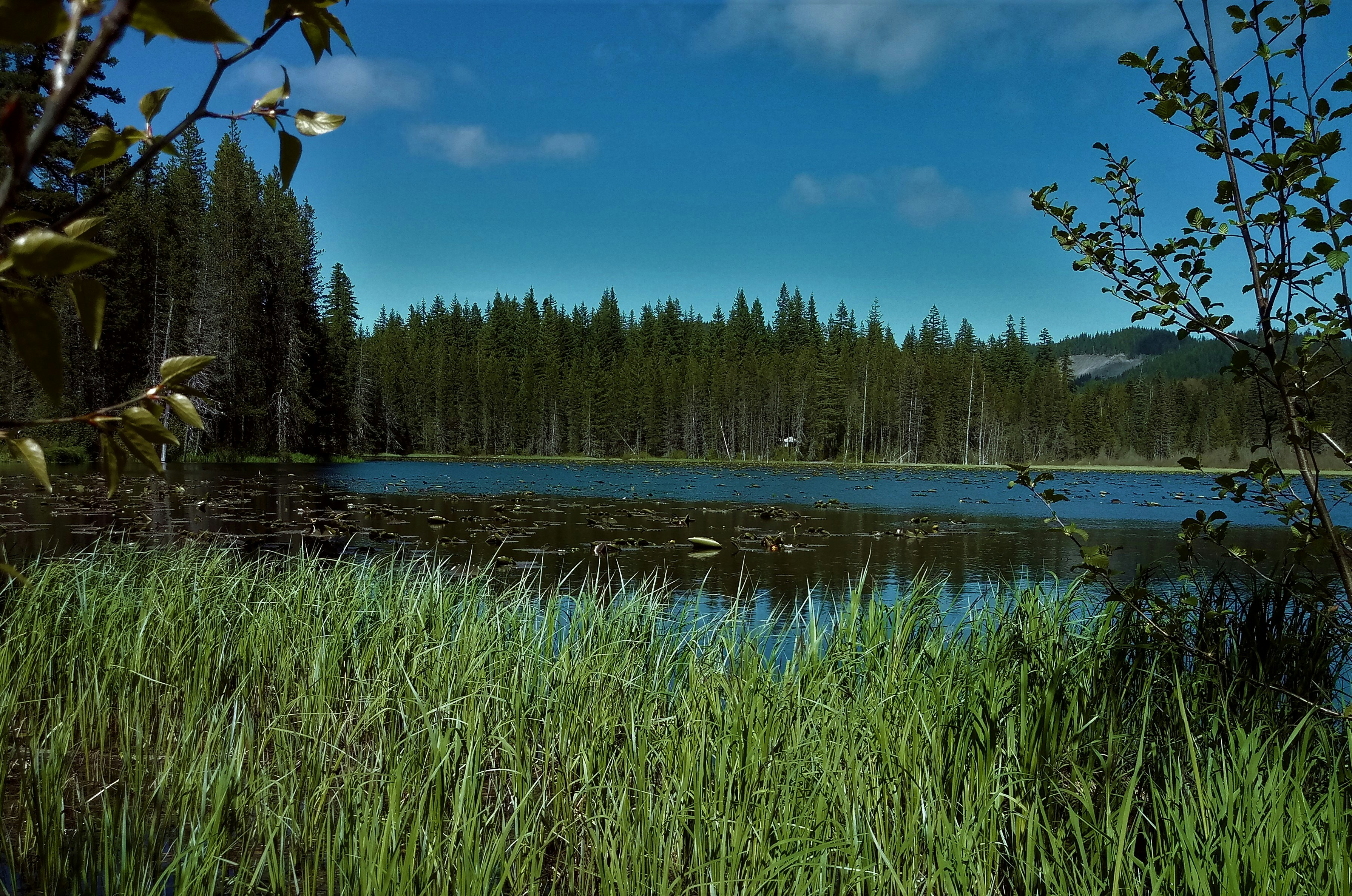 Photo by lorifosterharvey