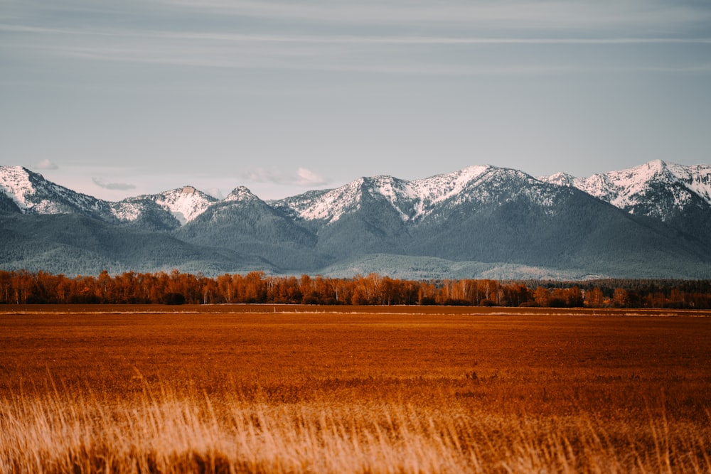 campo de grama marrom perto da montanha sob o céu azul durante o dia