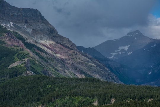 green grass field near mountain under cloudy sky during daytime in Waterton Canada