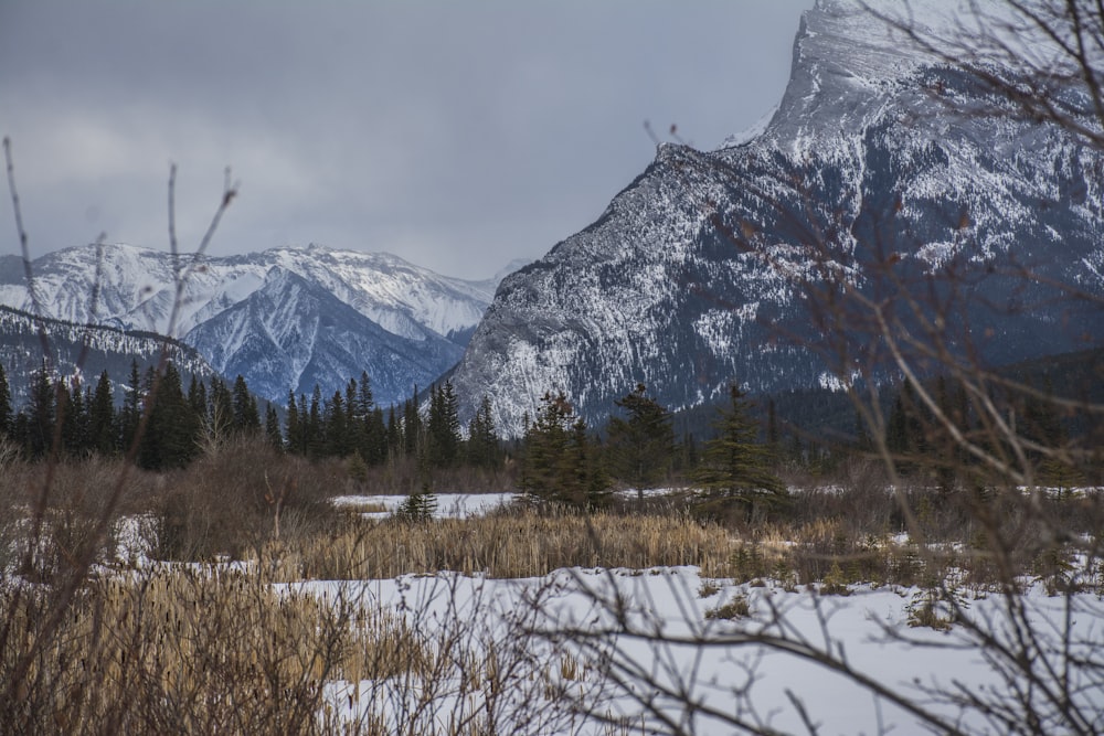 snow covered mountain during daytime