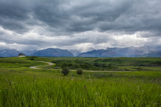 green grass field near mountain under cloudy sky during daytime in Waterton Canada